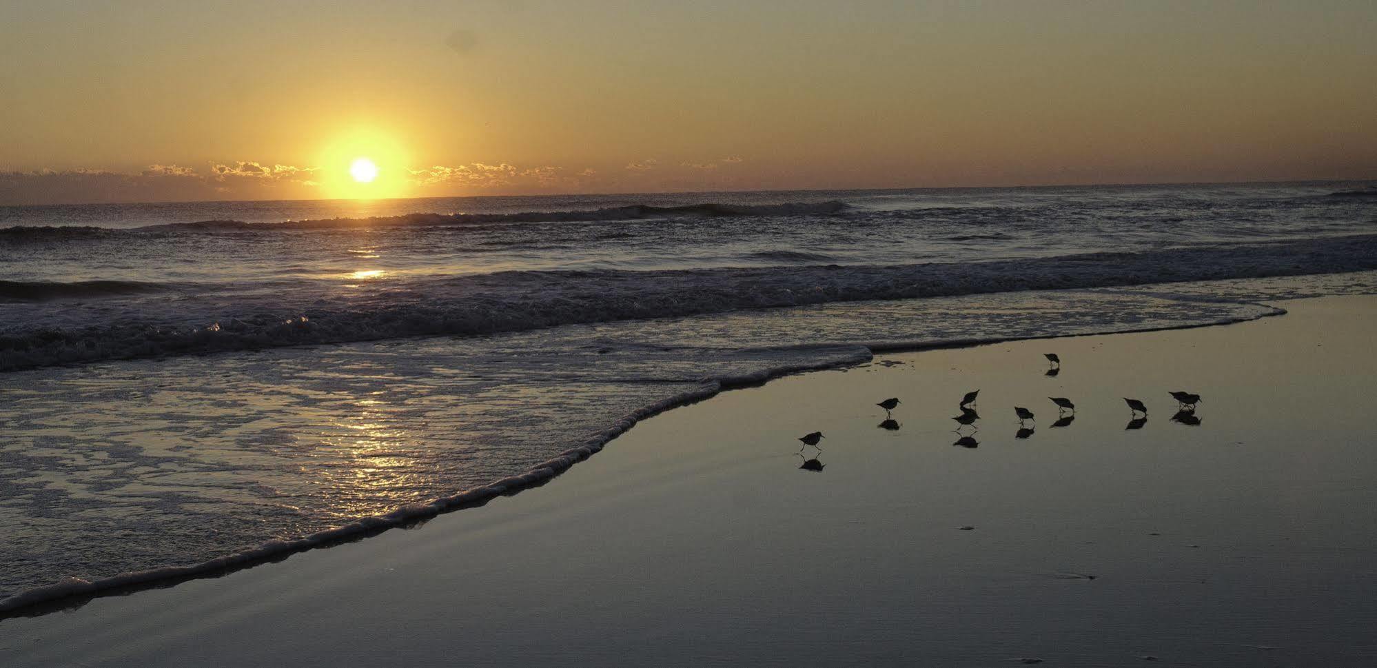 Club Sea Oats By Capital Vacations Motel Daytona Beach Shores ภายนอก รูปภาพ